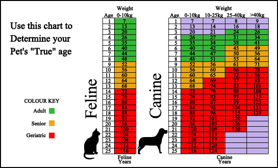 Chart Of Cat Years