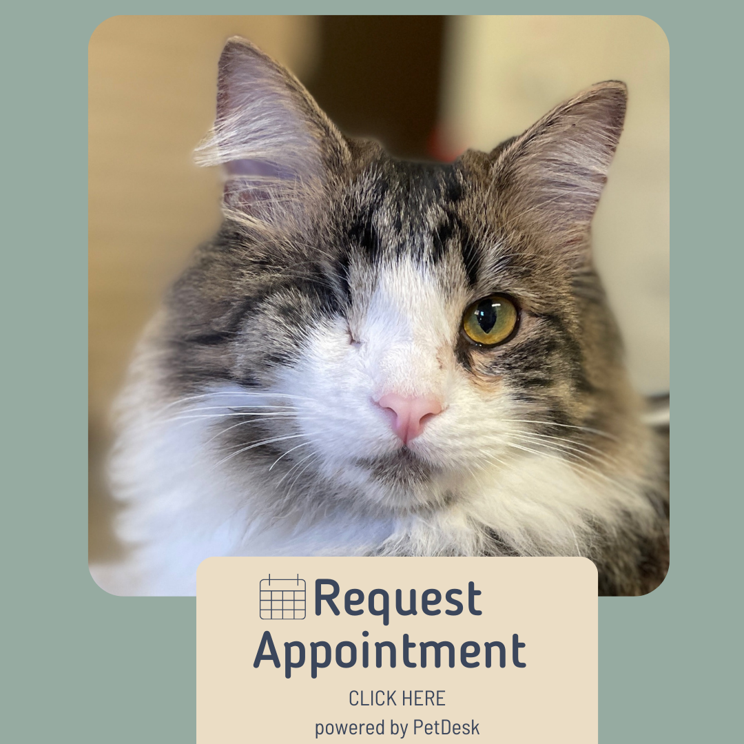 Request Appointment - Click Here