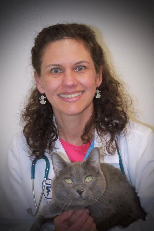 Dr. Anita Lara holding a grey cat