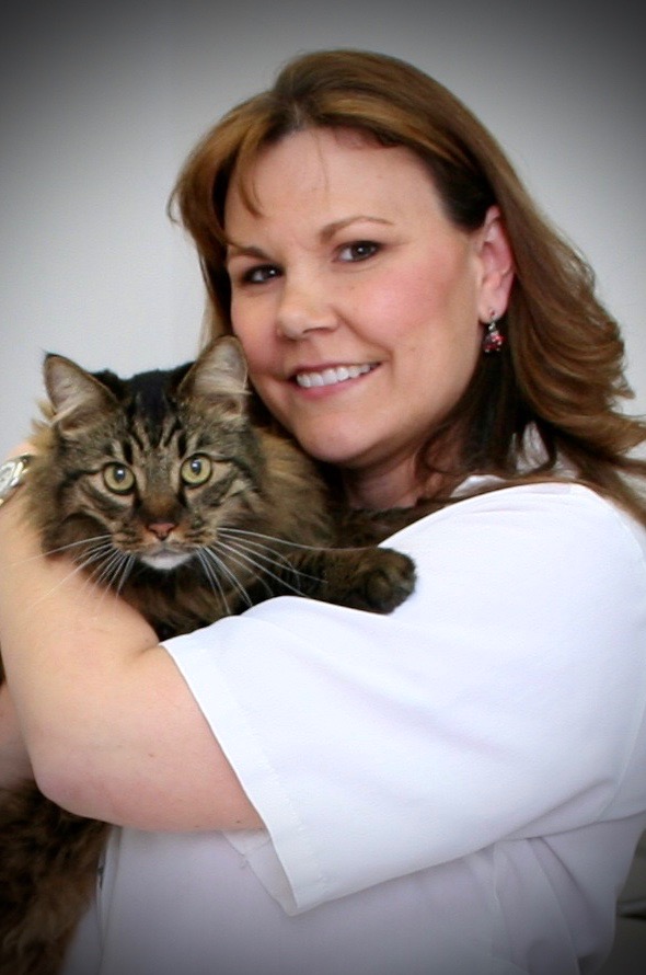 Dr. Salaguinto Holding a Brown Cat