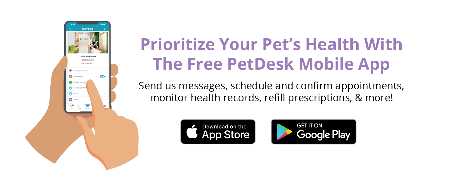 Prioritize Your Pet's Health With the free PetDesk Mobile App