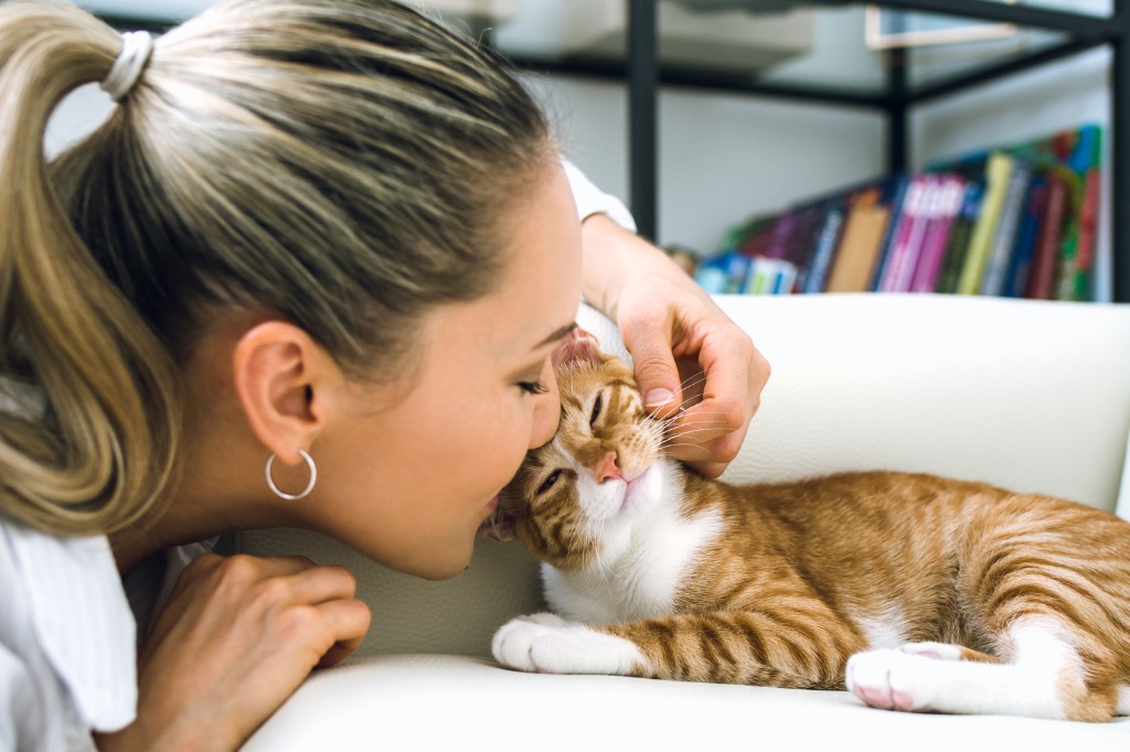 Woman petting yellow cat